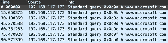 Packet capture showing www.microsoft.com query every 15 seconds.